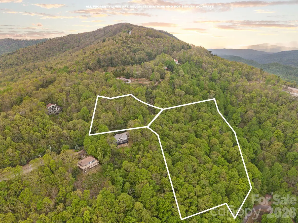 TBD Pinnacle Mountain Road, Zirconia, NC 28790 - #1