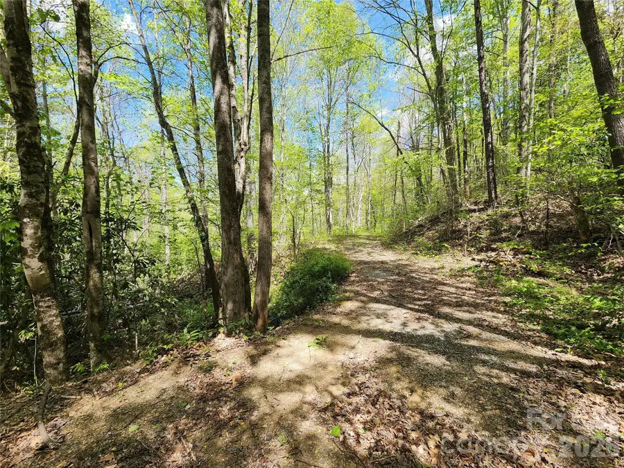 165 Wagon Wheel Way #2, Canton, NC 28716 - #3