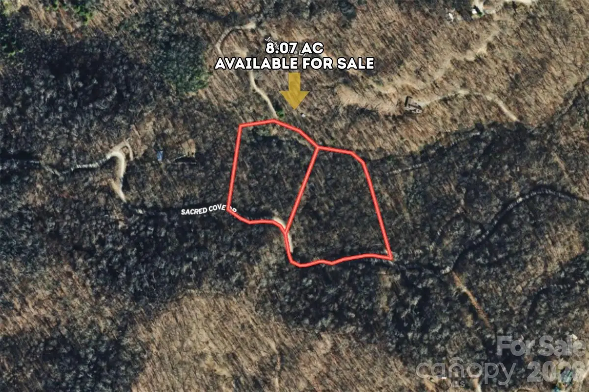 0 Sacred Cove Drive, Clyde, NC 28721 - #1