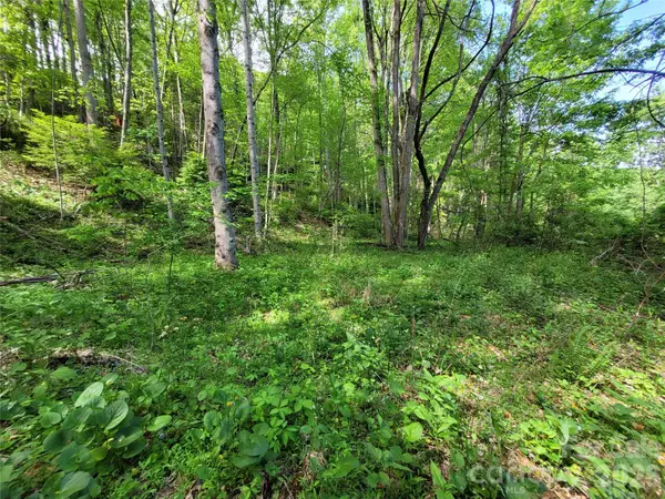 00 Fox Run Road, Waynesville, NC 28785
