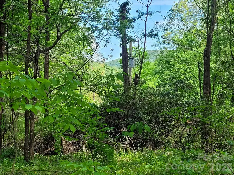 00 Fox Run Road, Waynesville, NC 28785 - #2