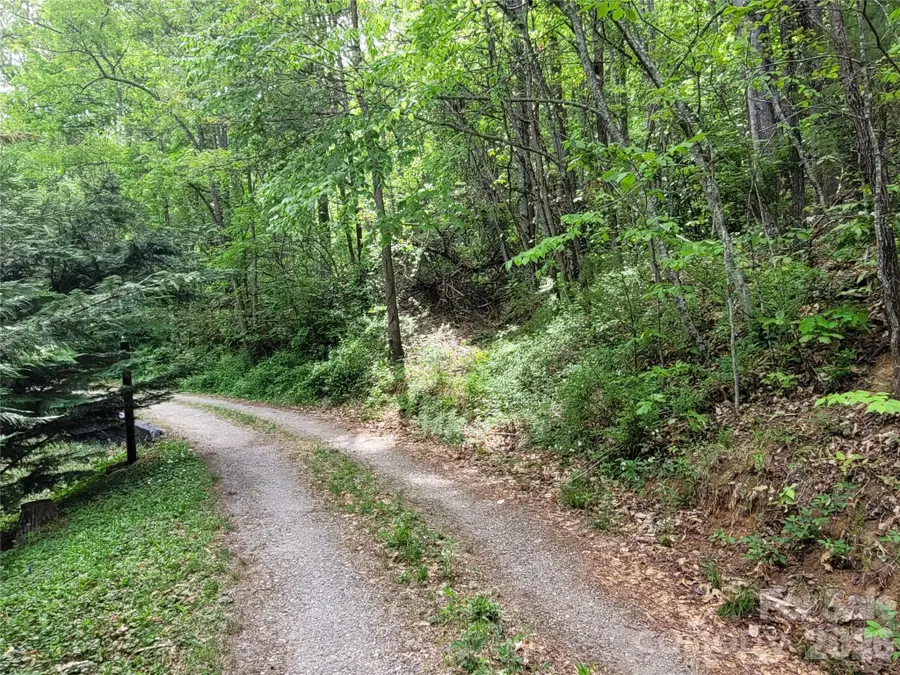 00 Fox Run Road, Waynesville, NC 28785 - #3