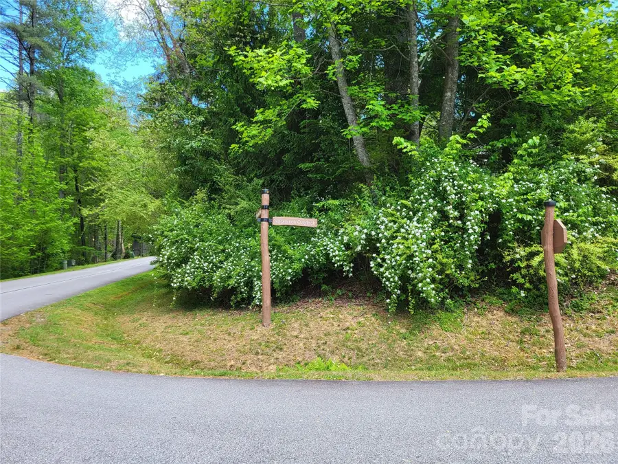 20 Rockbrook Overlook #L20, Brevard, NC 28712 - #2