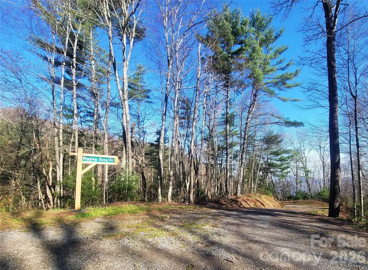 111 Digging Seng Trail #138, Waynesville, NC 28785 - #1