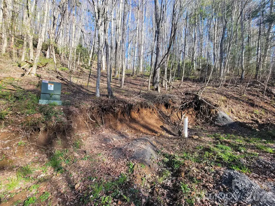 111 Digging Seng Trail #138, Waynesville, NC 28785 - #2