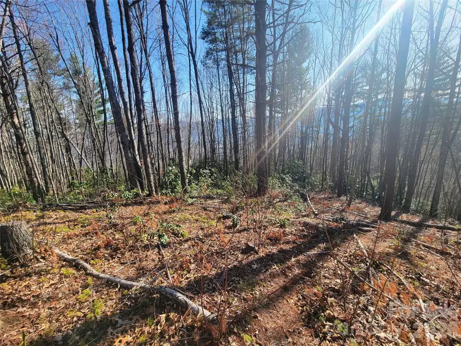 111 Digging Seng Trail #138, Waynesville, NC 28785 - #3