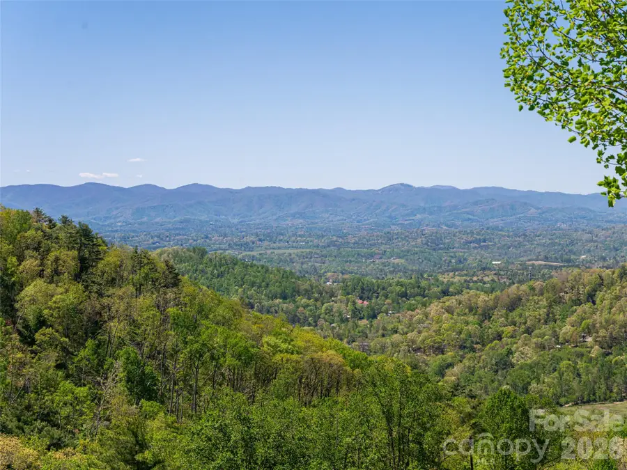 32 Timberwolf Court, Asheville, NC 28804 - #2