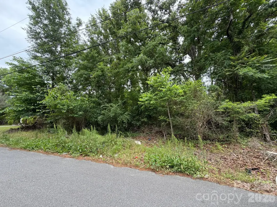 454 Frank Street, Rock Hill, SC 29730 - #3