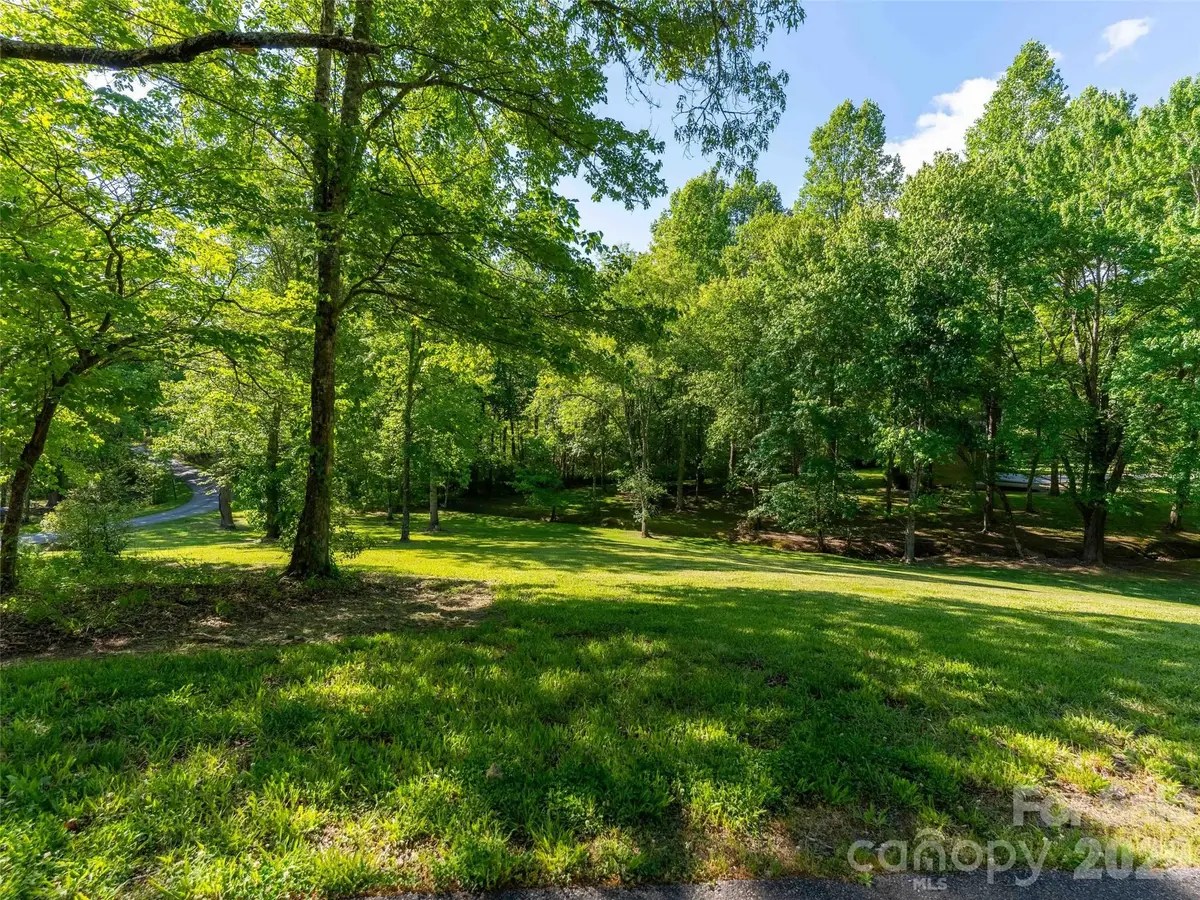 Lot 17 Swallowtail Lane, Whittier, NC 28789 - #1