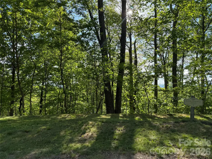 Lot 9 & 10 Andrew Banks Road, Burnsville, NC 28714 - #3