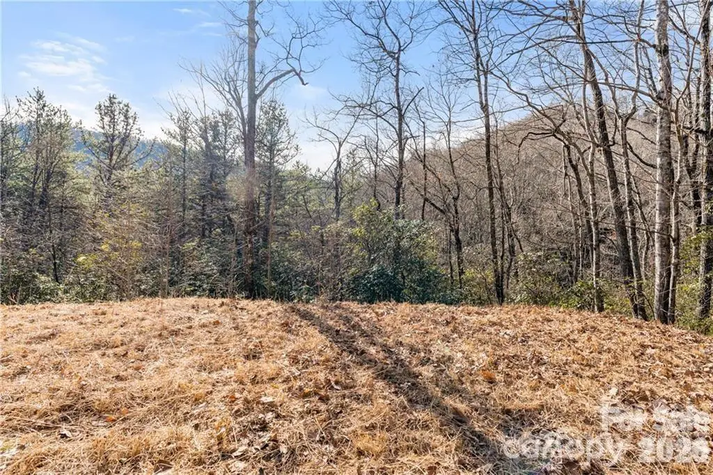 28 Trillium Lane #C-1, Black Mountain, NC 28711 - #1