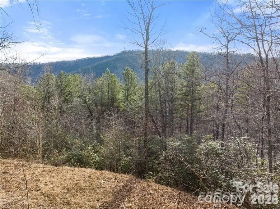 28 Trillium Lane #C-1, Black Mountain, NC 28711 - #2
