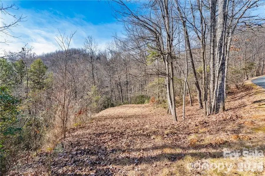 28 Trillium Lane #C-1, Black Mountain, NC 28711 - #3