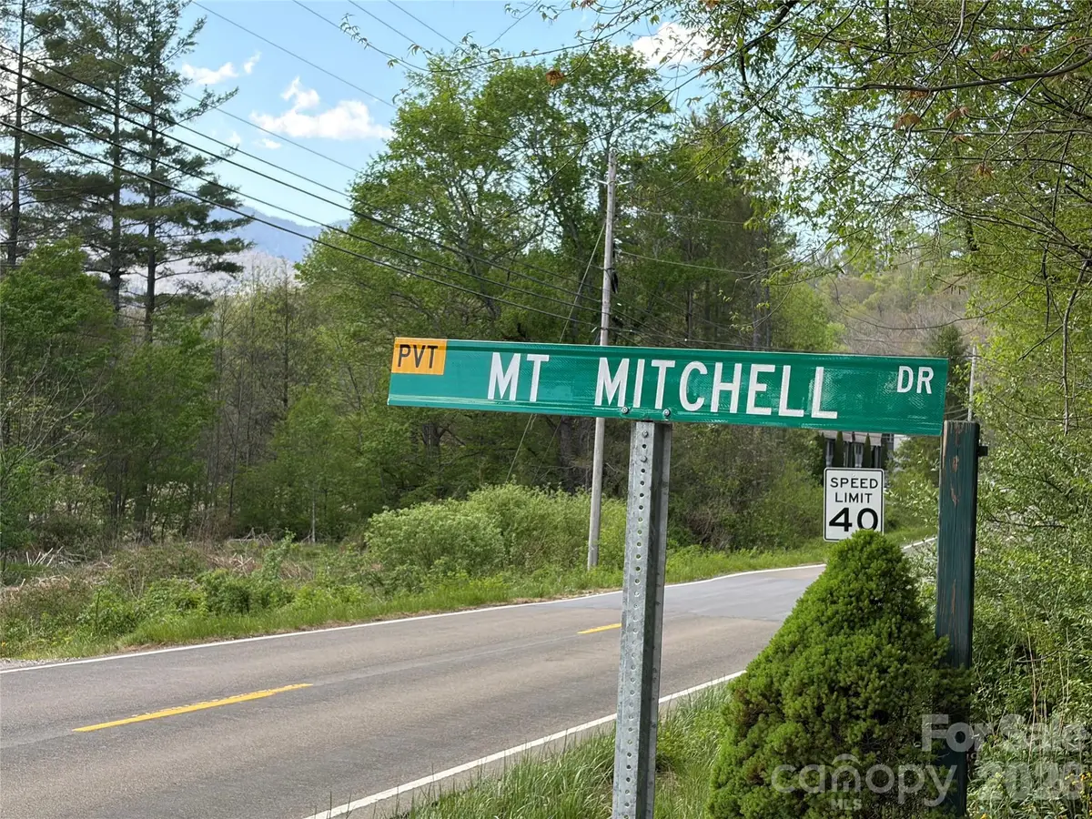 000 Mt. Mitchell Drive, Burnsville, NC 28714 - #1