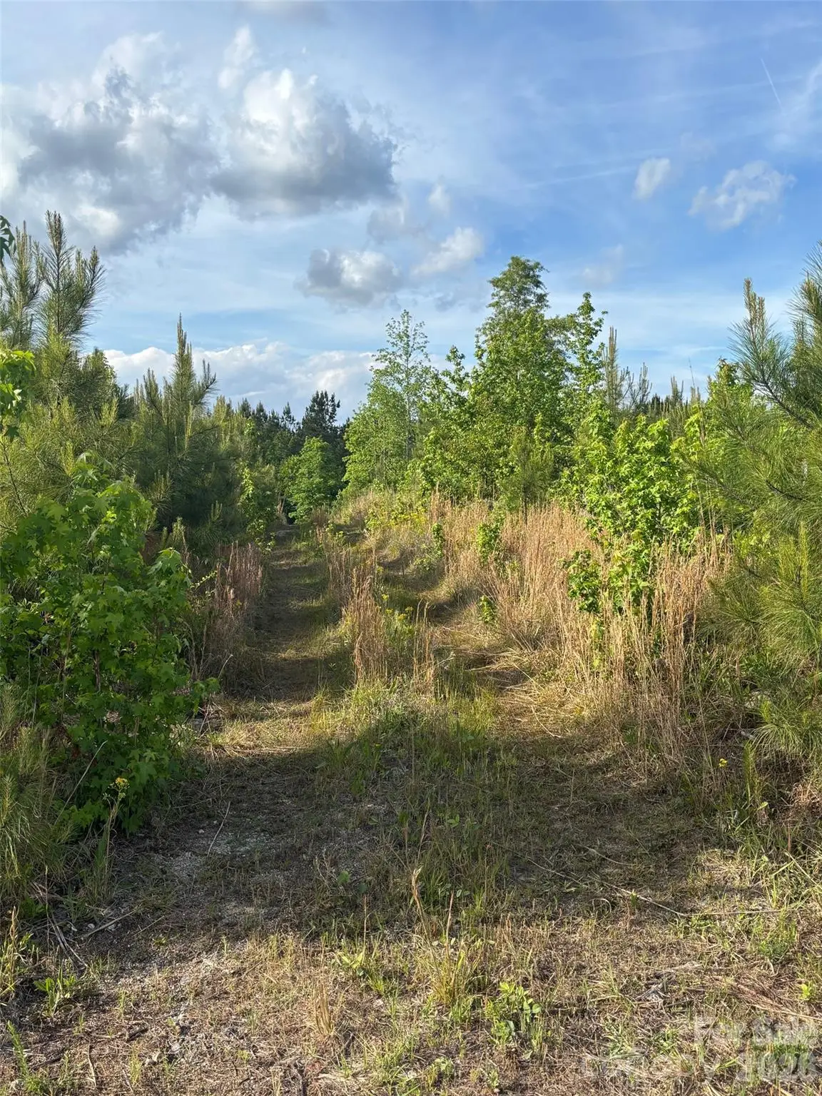 TBD Beaker Road, Heath Springs, SC 29058 - #1