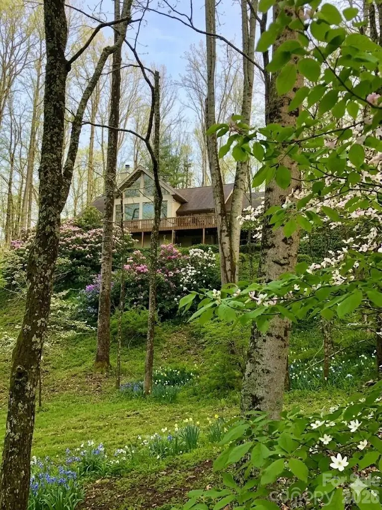 1551 Walnut Creek Road, Waynesville, NC 28786 - #1