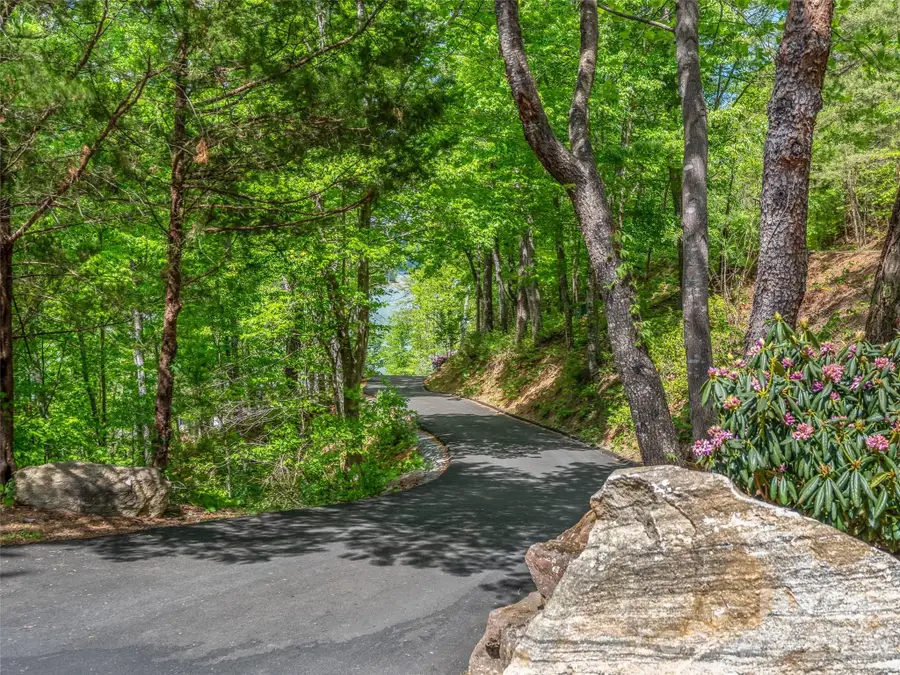 99999 Hawthorne Drive, Lake Lure, NC 28746 - #3