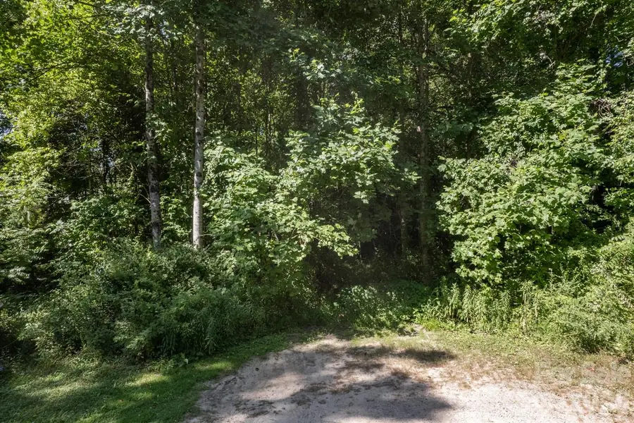 17 Chicago Avenue, Black Mountain, NC 28711 - #3