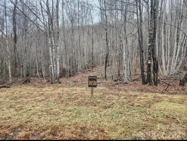 0 Beaver Dam Road, Banner Elk, NC 28604