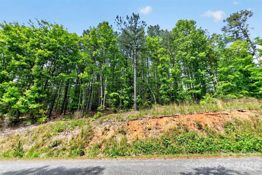 99999 Wright Road, Marion, NC 28752 - #3