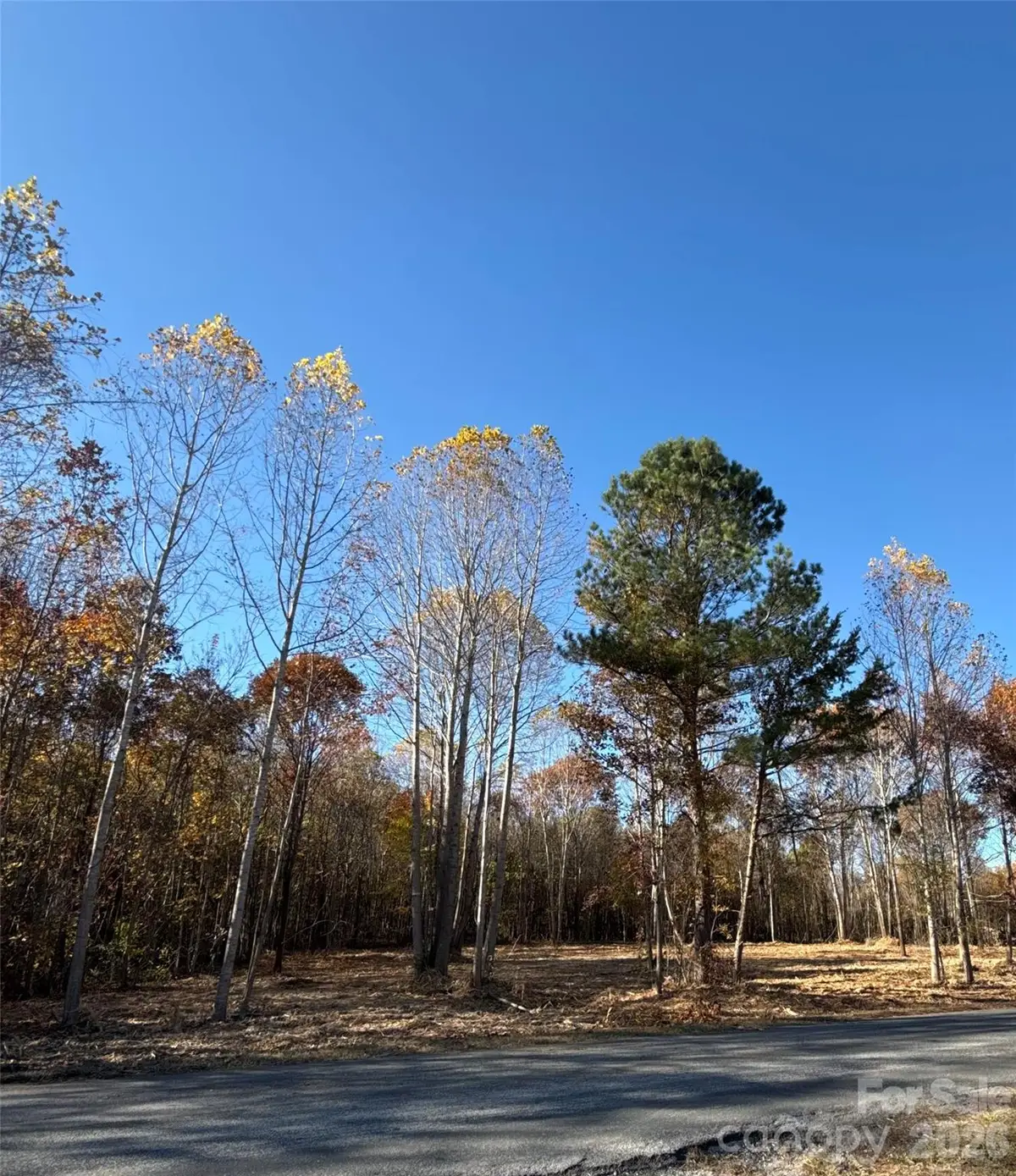 2 Erwin Temple Church Road, Woodleaf, NC 27054 - #1