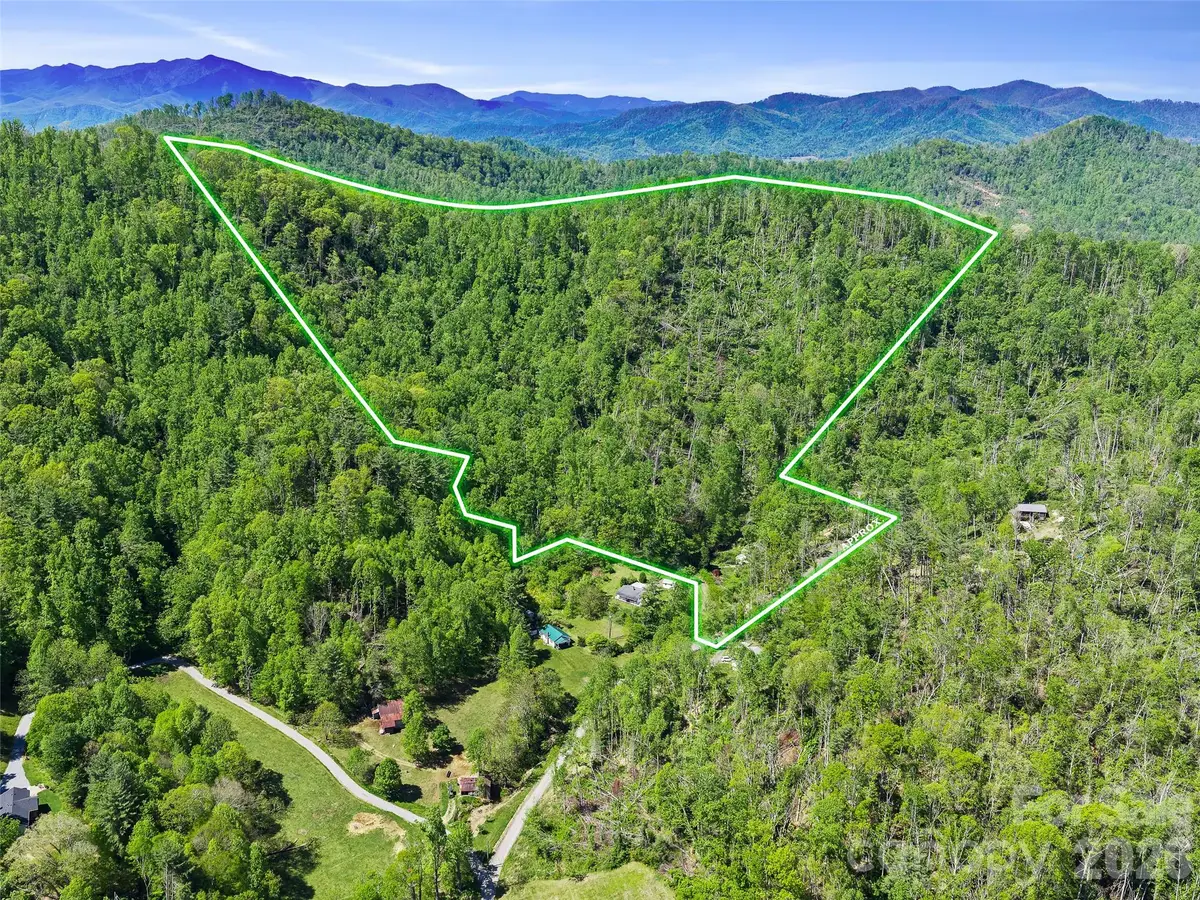 615 Fred Sparks Road, Bakersville, NC 28705 - #1