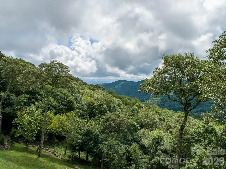 366 Birch Springs Lane #366, Mars Hill, NC 28754 - #3