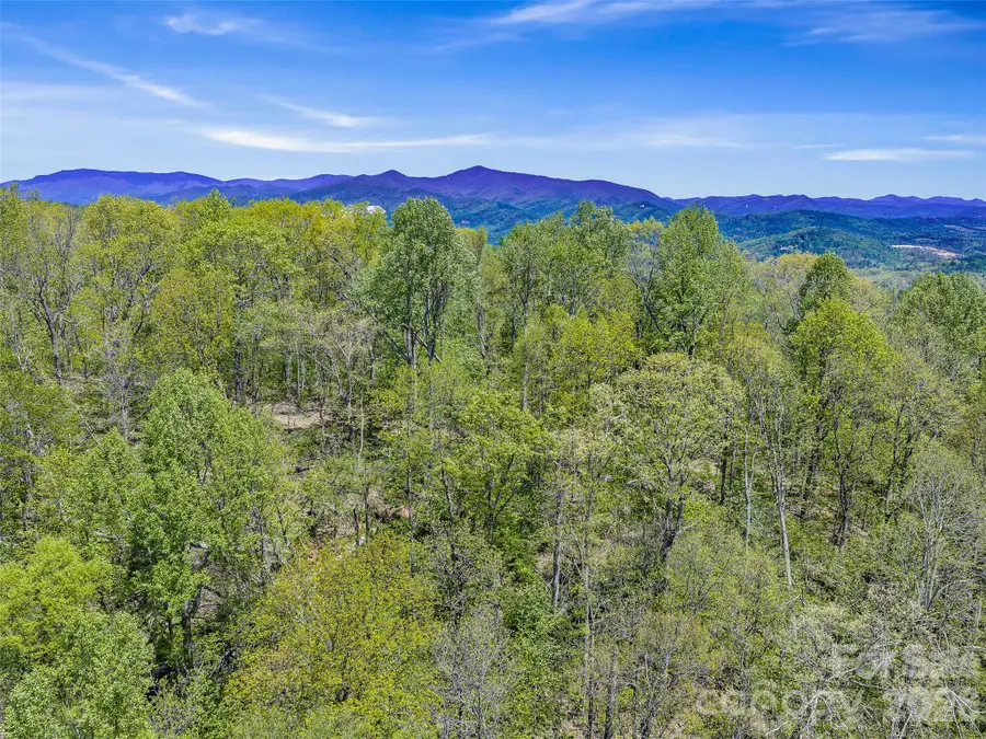 TBD Holly Dale Drive, Spruce Pine, NC 28777 - #2
