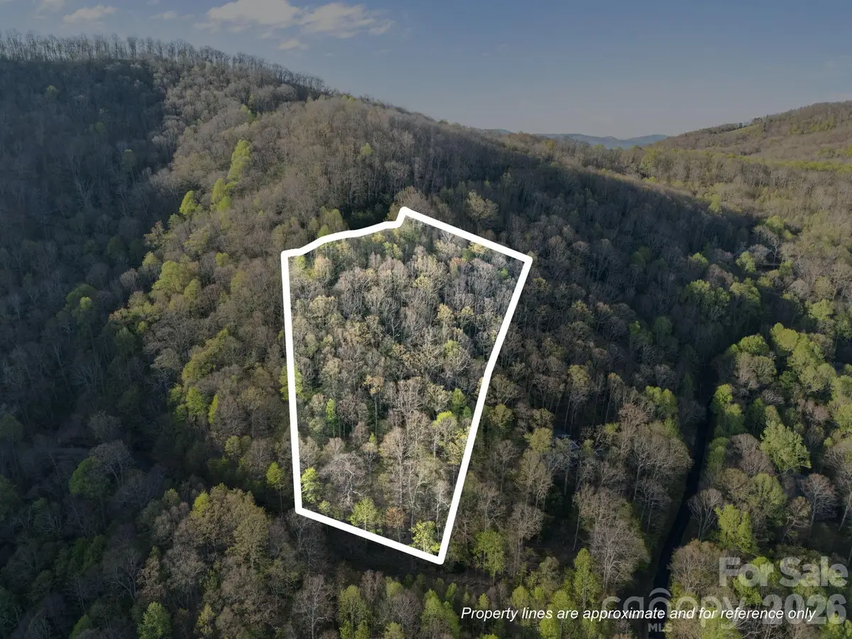 58 Mountain Azalea Drive, Swannanoa, NC 28778 - #1