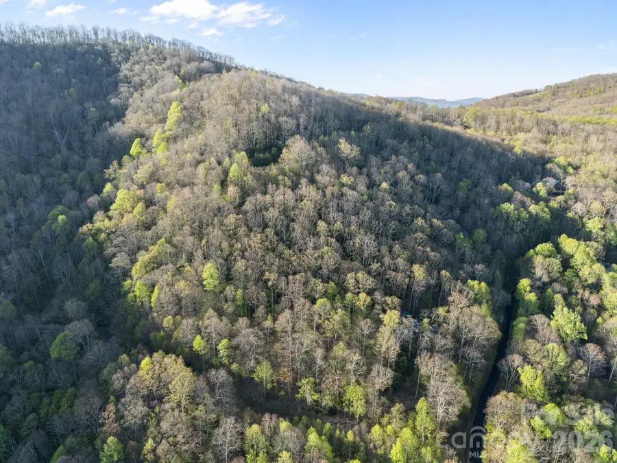 58 Mountain Azalea Drive, Swannanoa, NC 28778 - #3