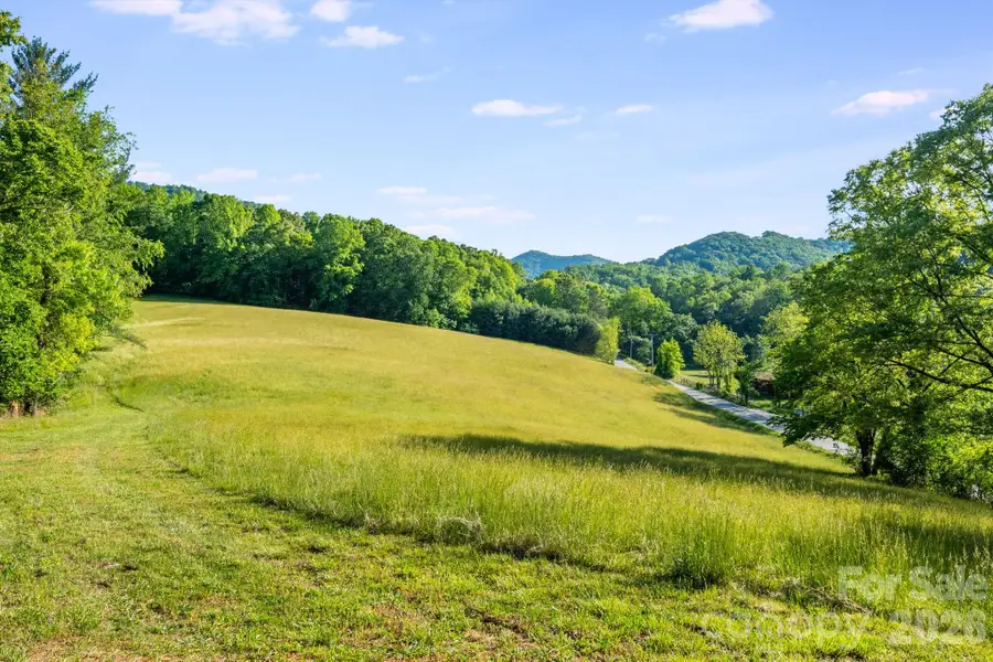 435 Upper Glady Fork Road, Candler, NC 28714 - #3