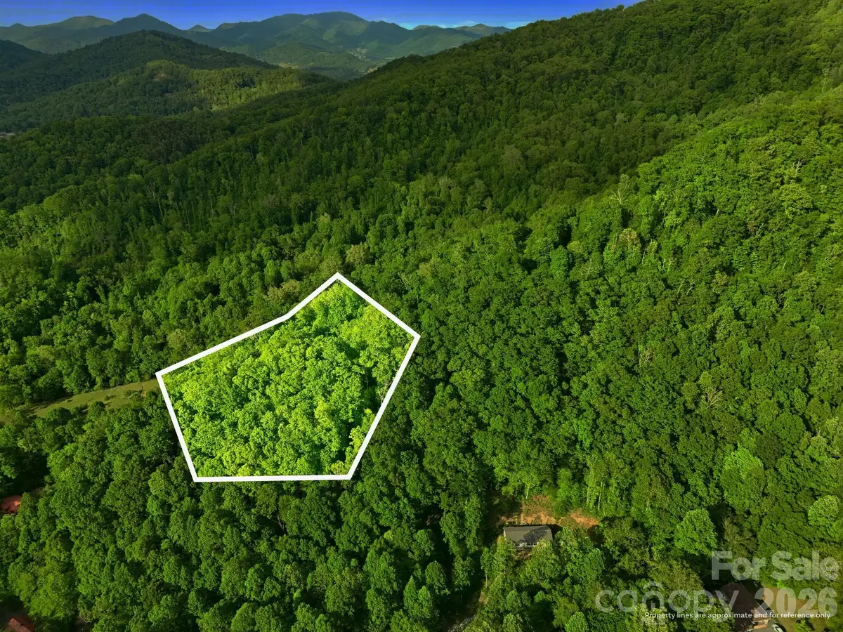 108 Wakulla Way, Waynesville, NC 28785 - #1