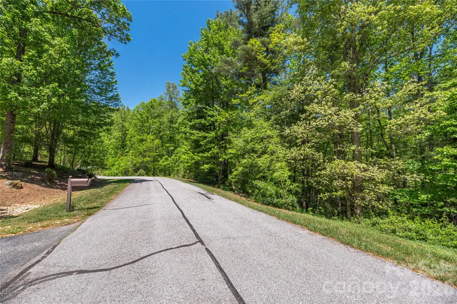 305 Freedom Trail Court, Zirconia, NC 28790 - #3