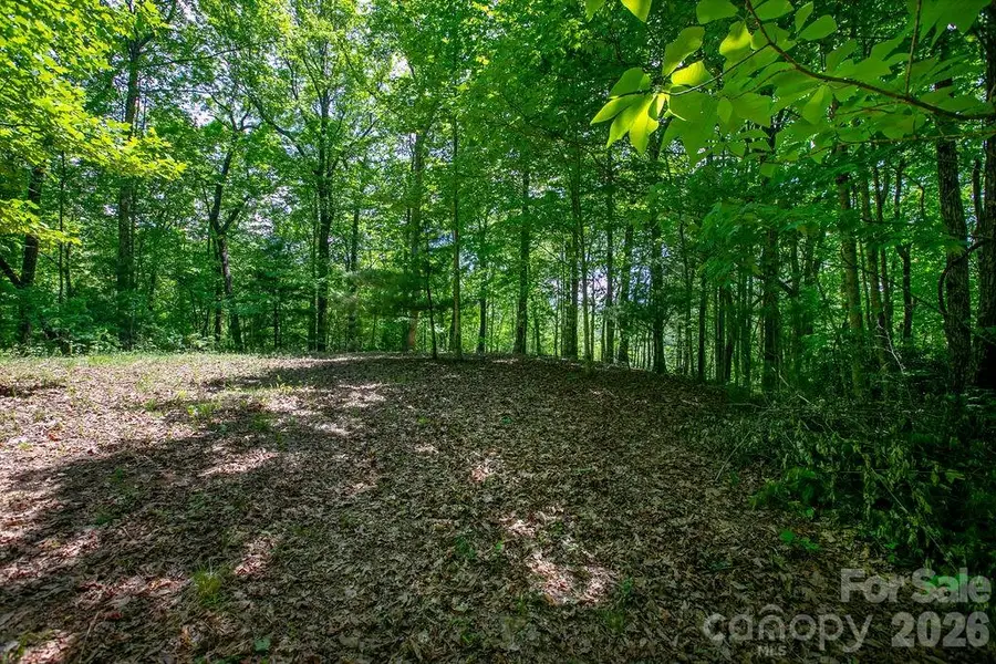 TBD Diamond Creek Road, Lake Toxaway, NC 28747 - #3
