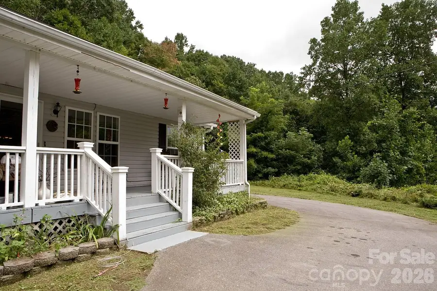 165 Peepeye Cove Road, Leicester, NC 28748 - #3