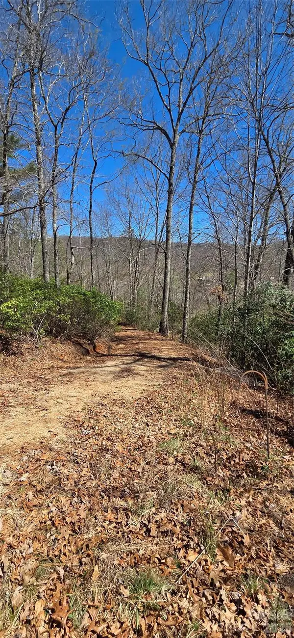 90 Kimiko Lane S #30&31, Balsam Grove, NC 28708