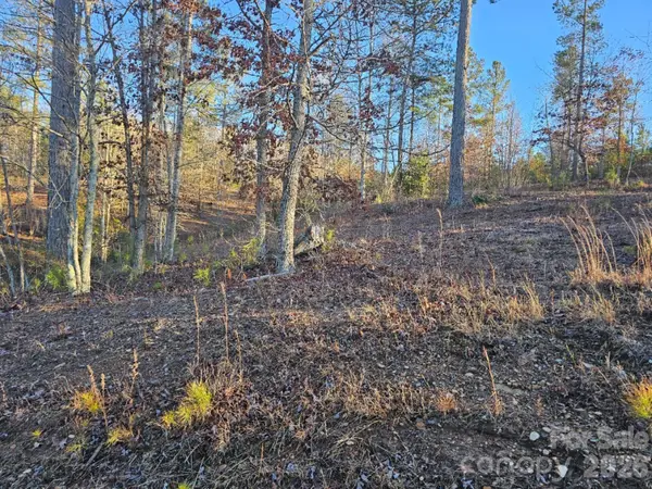 2167 Inlet Shore Road Ne, Connelly Springs, NC 28612