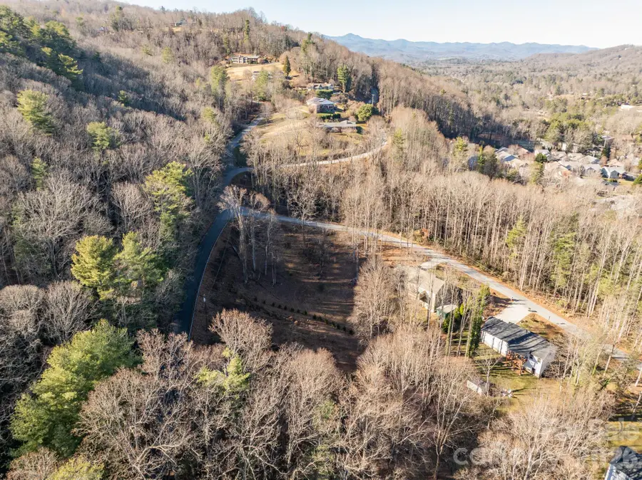 000 Davis Mountain Road, Laurel Park, NC 28739 - #2