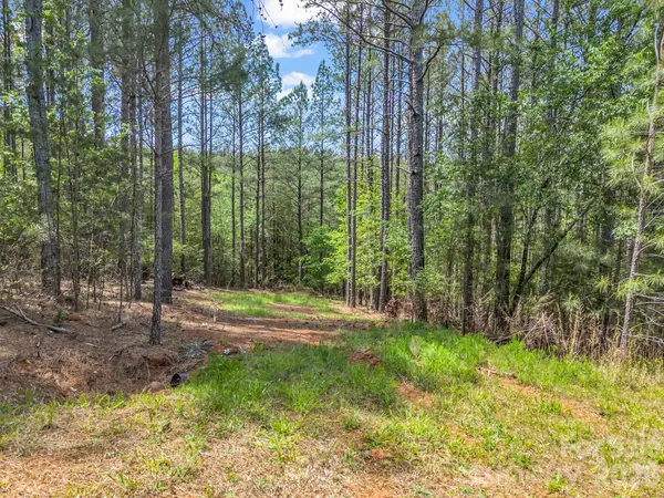 111 Cranberry Lane, Mooresboro, NC 28114