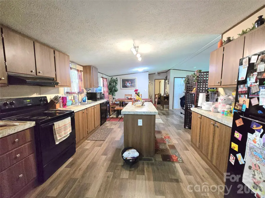 221 Turkey Pen Gap Road, Horse Shoe, NC 28742 - #2