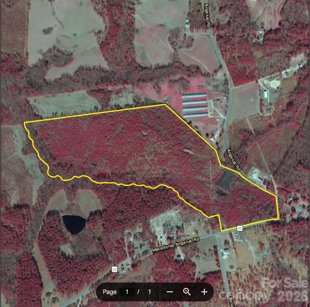 2713 Macedonia Angelus Road, Jefferson, SC 29718 - #1