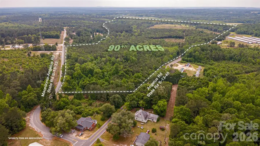 2713 Macedonia Angelus Road, Jefferson, SC 29718 - #2