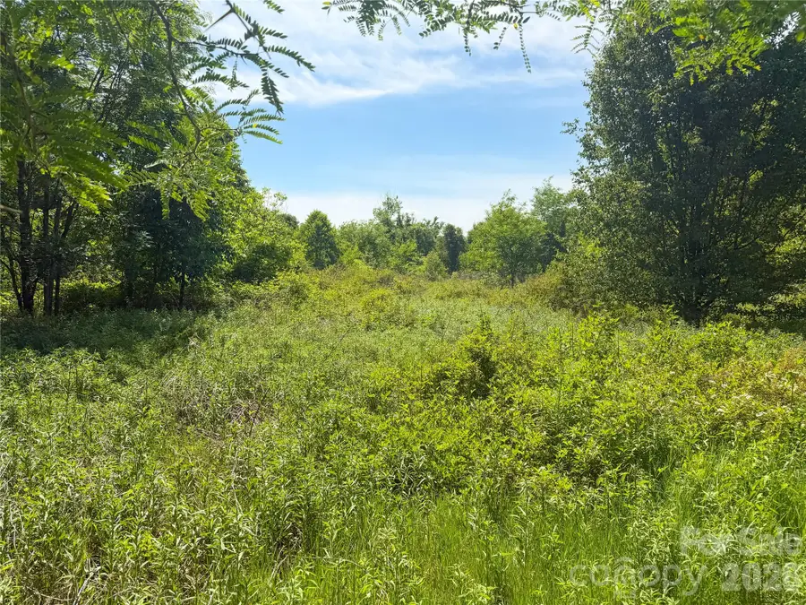 0 Needmore Road, Woodleaf, NC 27054 - #2