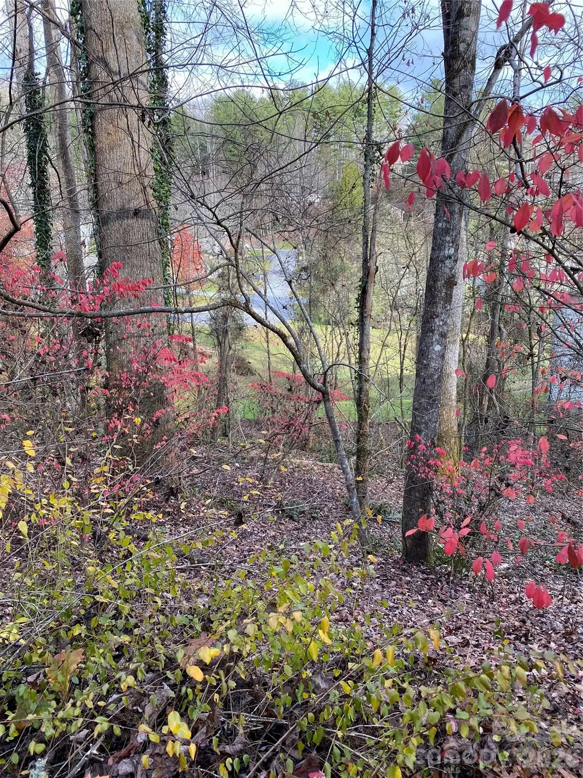 000 Waterford Place, Brevard, NC 28712 - #1