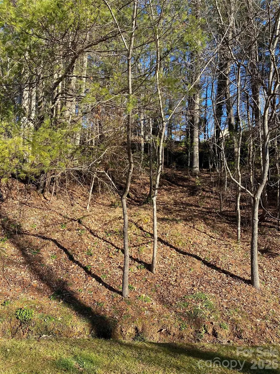 000 Waterford Place, Brevard, NC 28712 - #3