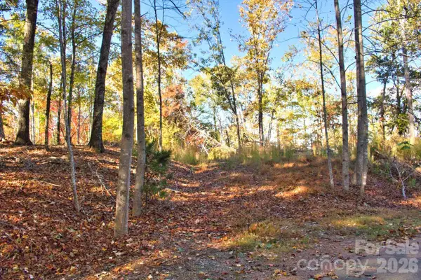 0 Wilderness Ridge #15, Rutherfordton, NC 28139