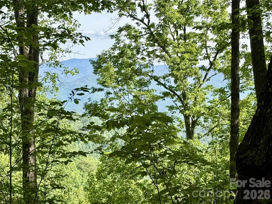 0 Carpenter Road, Bryson City, NC 28713 - #3