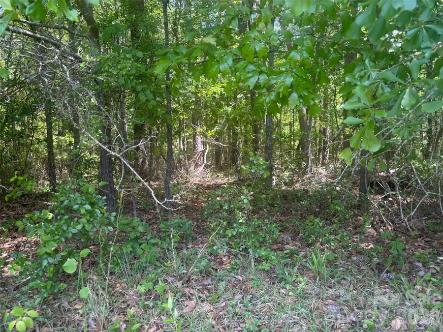 2206 S Highway 1 Highway S, Elgin, SC 29045 - #3