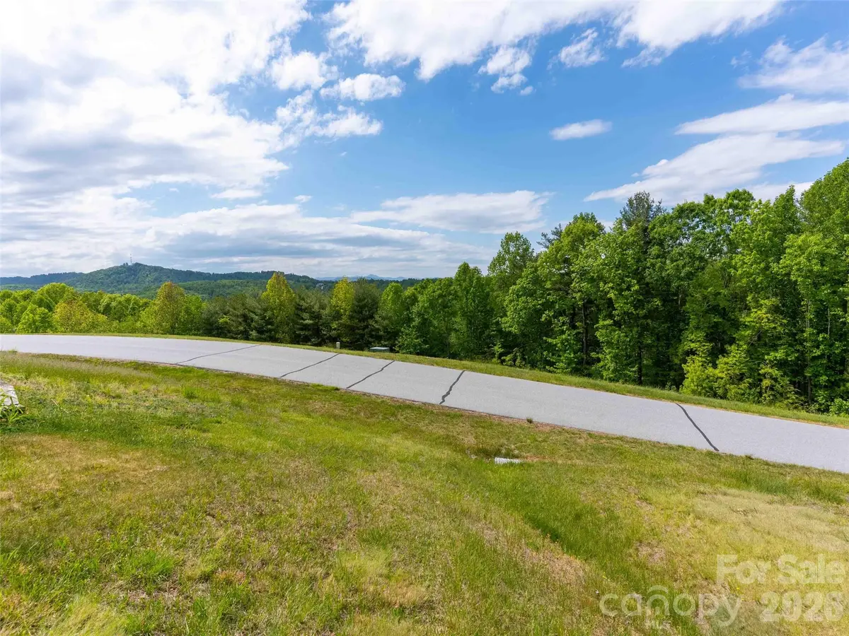 661 Whites Lake Boulevard, Saluda, NC 28773 - #1