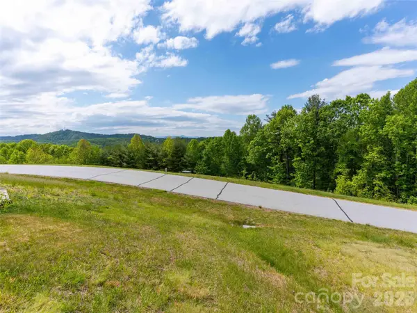 661 Whites Lake Boulevard, Saluda, NC 28773